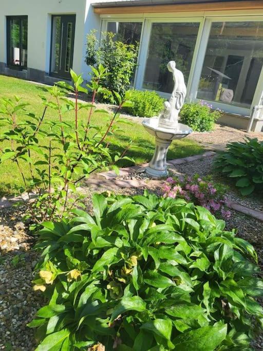 Haus Am Walde Apartment Müllrose Екстериор снимка
